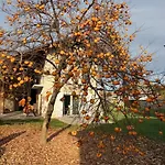 Prázdninový dům Cascina Della Contessa *