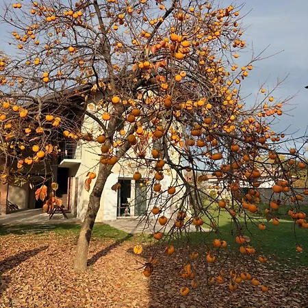 Casa de Férias Cascina Della Contessa *