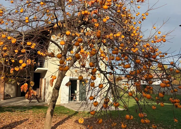 別荘 Cascina Della Contessa *